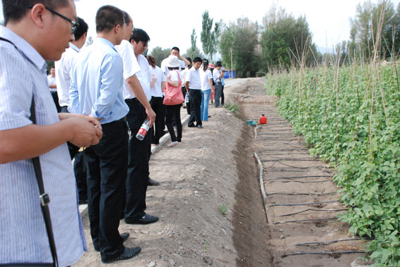 888腾博会-诚信为本,专业服务