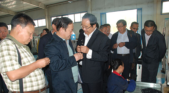 888腾博会-诚信为本,专业服务