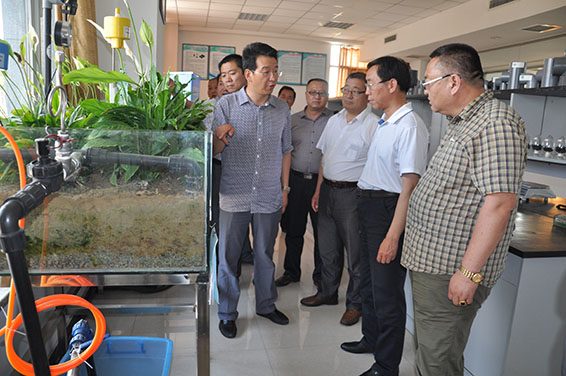 888腾博会-诚信为本,专业服务