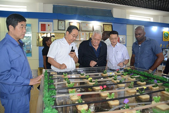 20160721173030800003