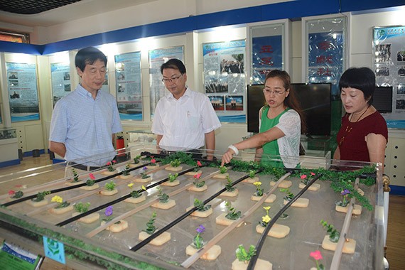 20160803174727812002