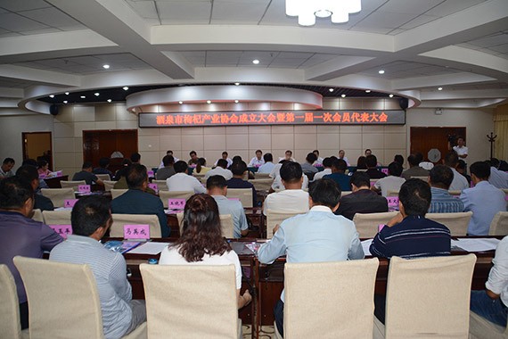 20160907203823615001