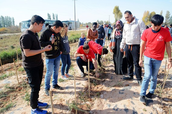 20161015222755495008