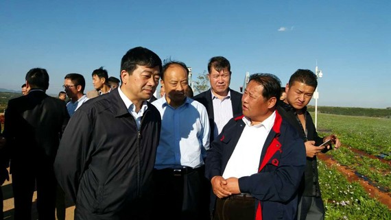 20161105215729796001