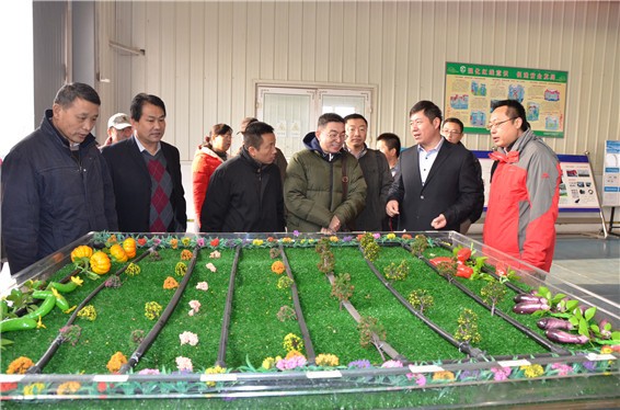 20161126171443668001