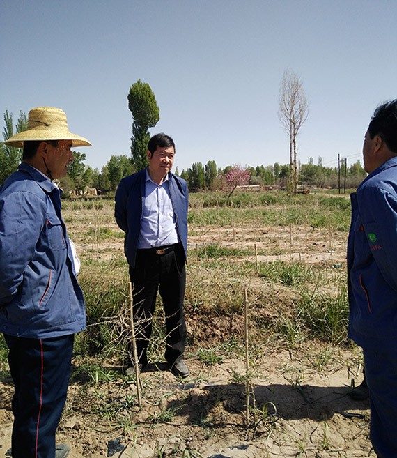 20170505161850614002