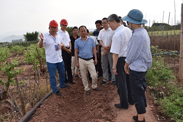 20170527160909695002