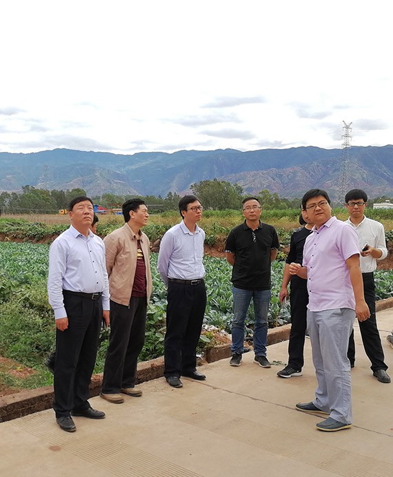 20171104095307767002