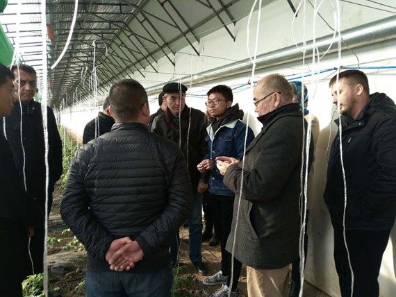 20171201225940532004