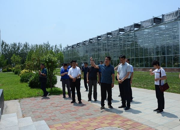 20190822155050867001_s