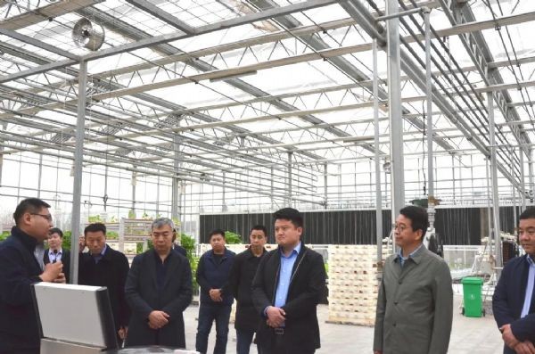 20210320093846321005_s