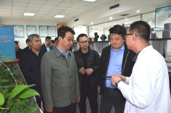 20210320093846663003_s