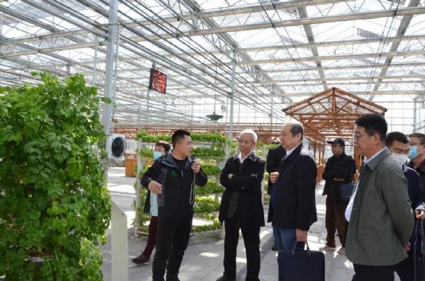 20210324155032235006_s