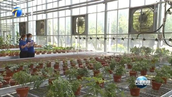 20210610152813127003_s