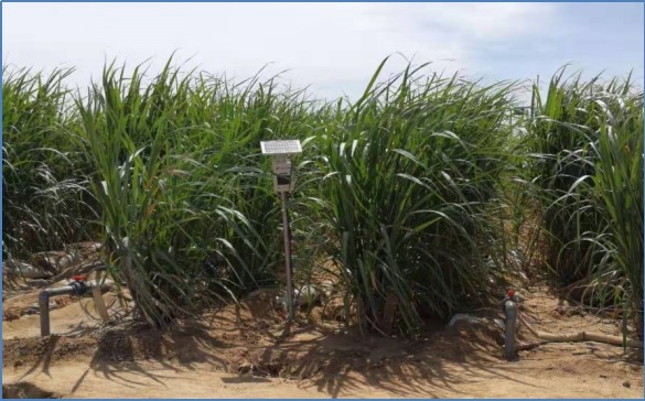 20240228175711939006