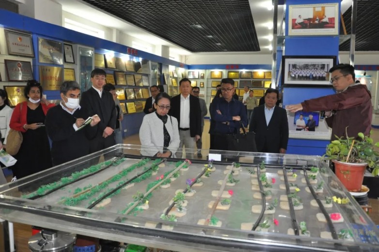 20240508165409578001