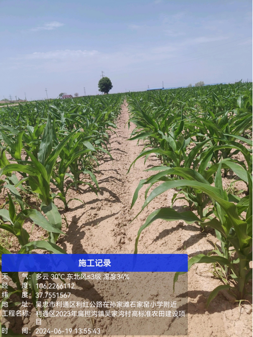 20240724115614195001