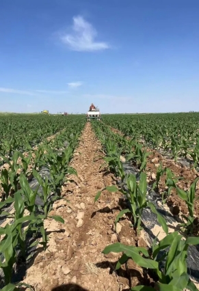 20240807093921155006