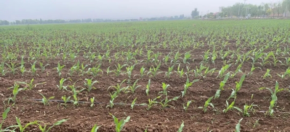 20240807093921913007