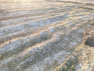 20240920142631104008