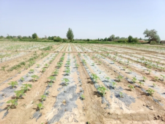 20240920142631160009