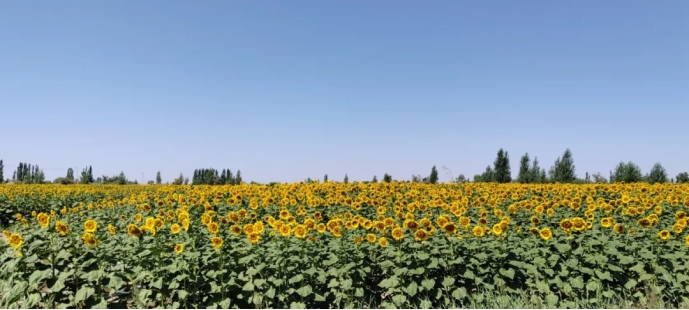 20240920142631555012