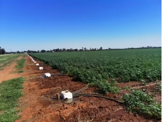 20241008105552893008