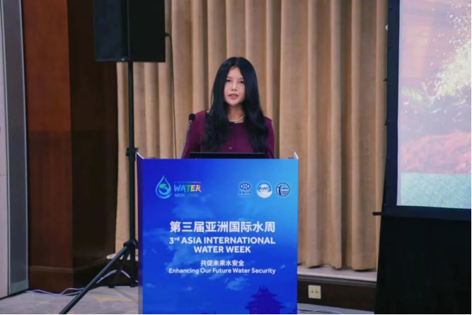 20241008114351333003