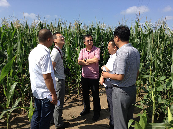 888腾博会-诚信为本,专业服务