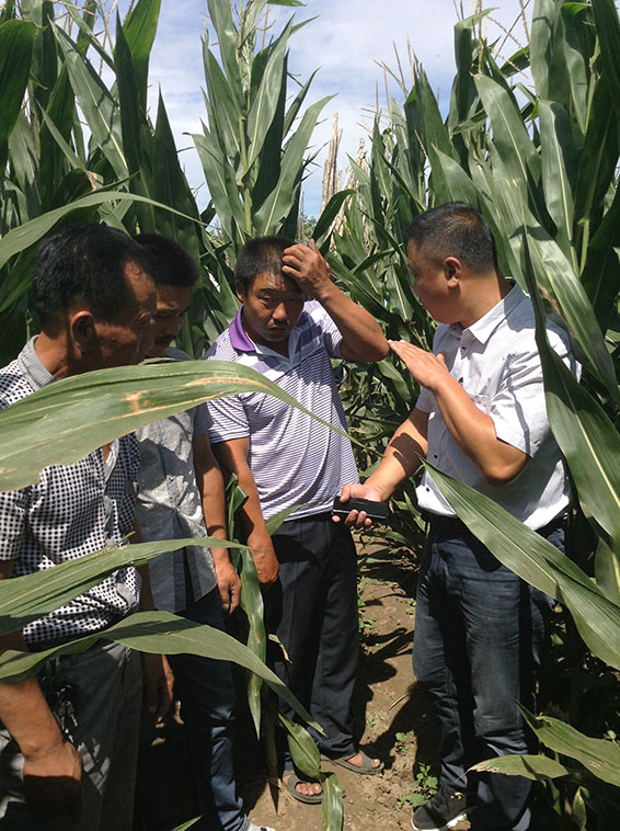 888腾博会-诚信为本,专业服务