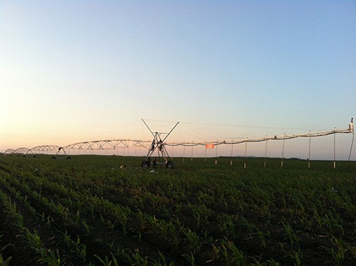 20241118155329_414767