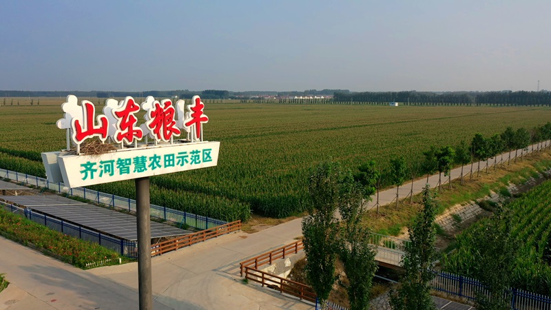 20241118155553_369726