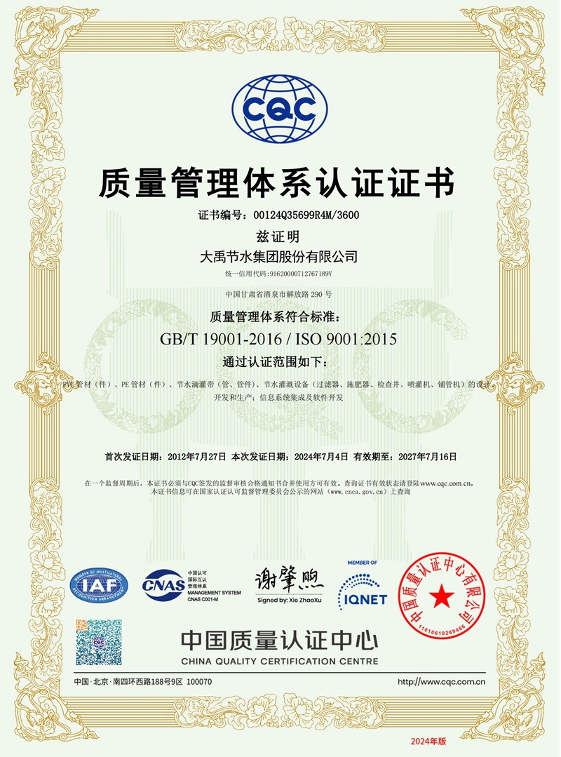 202411181731897136626993