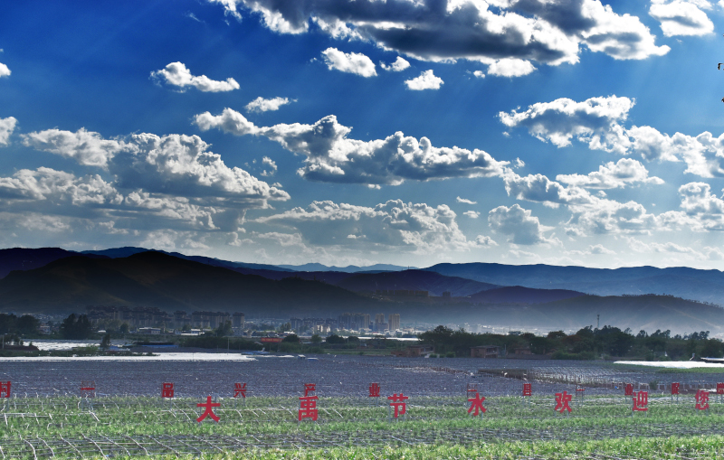 202411181731910957536697