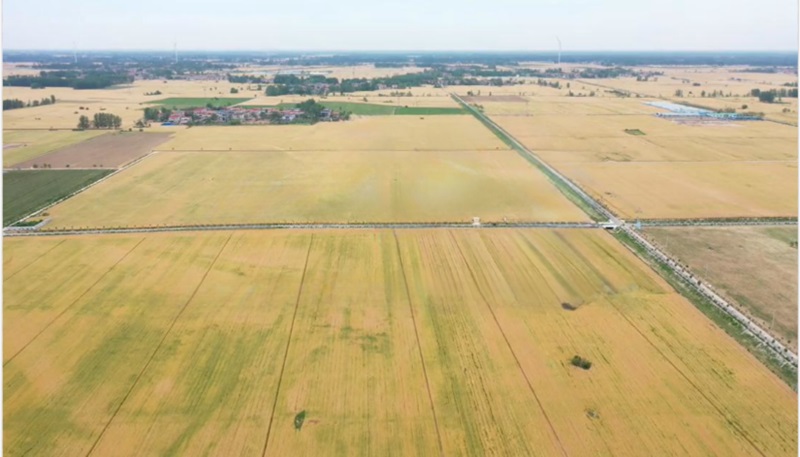 20241119174005_285528