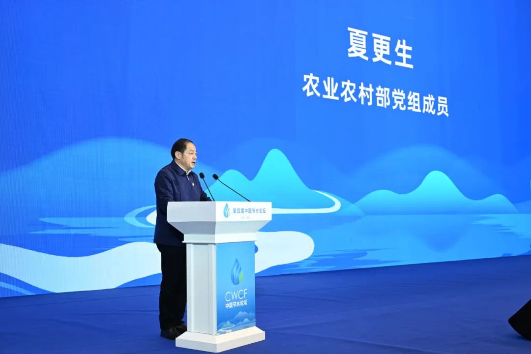 202412051733388747633876