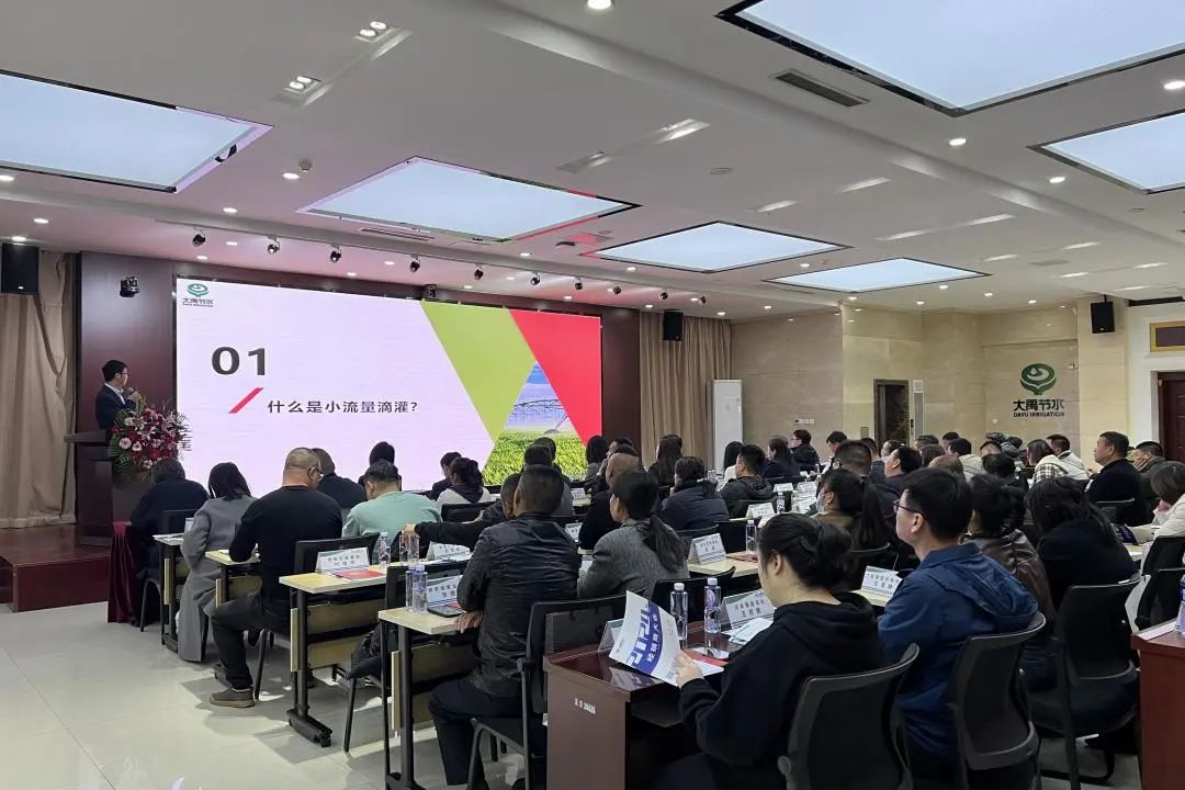 202412051733390685380973