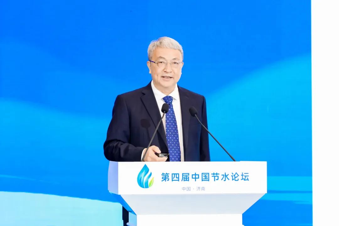 202412101733813488346356