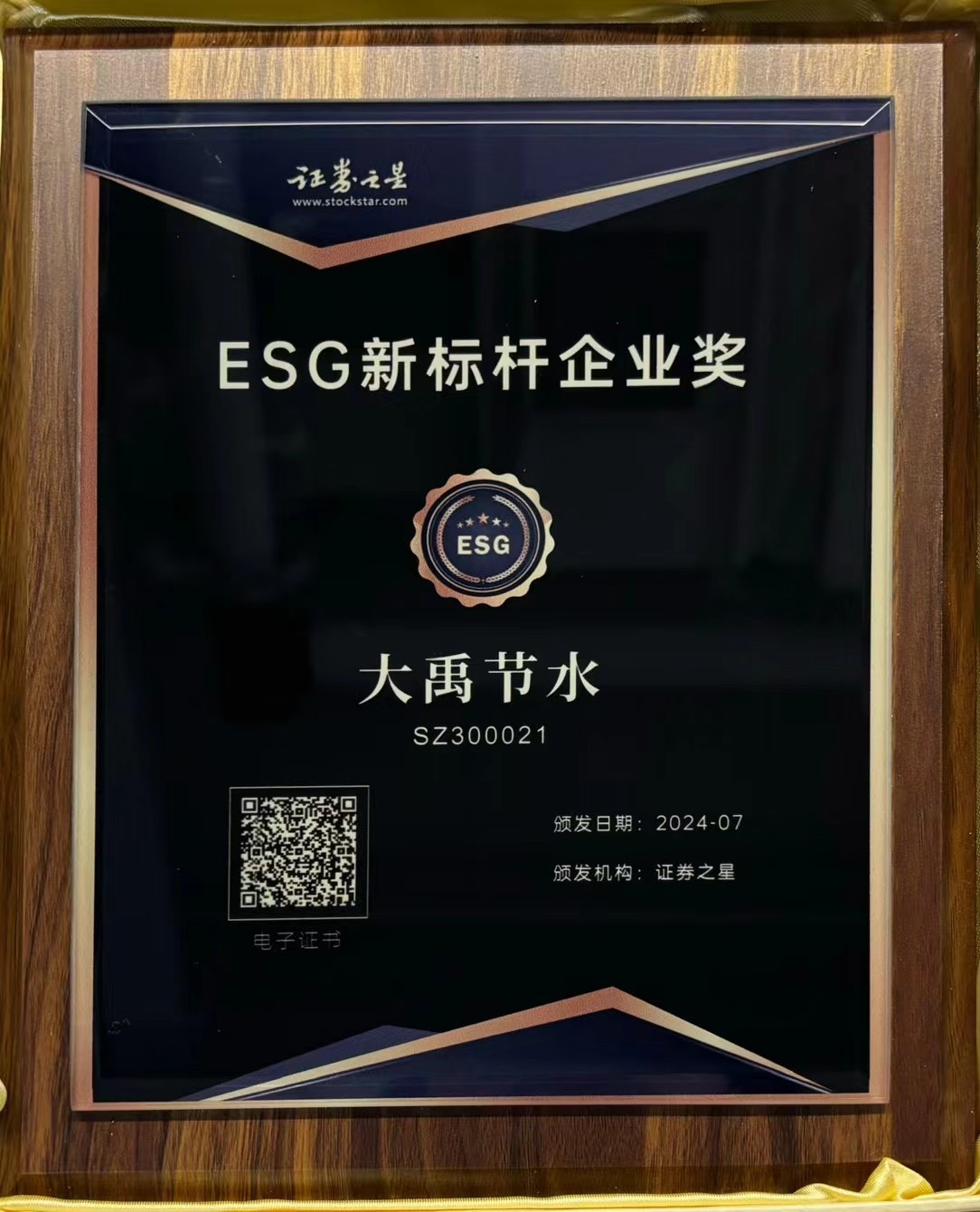 202503111741677867332557