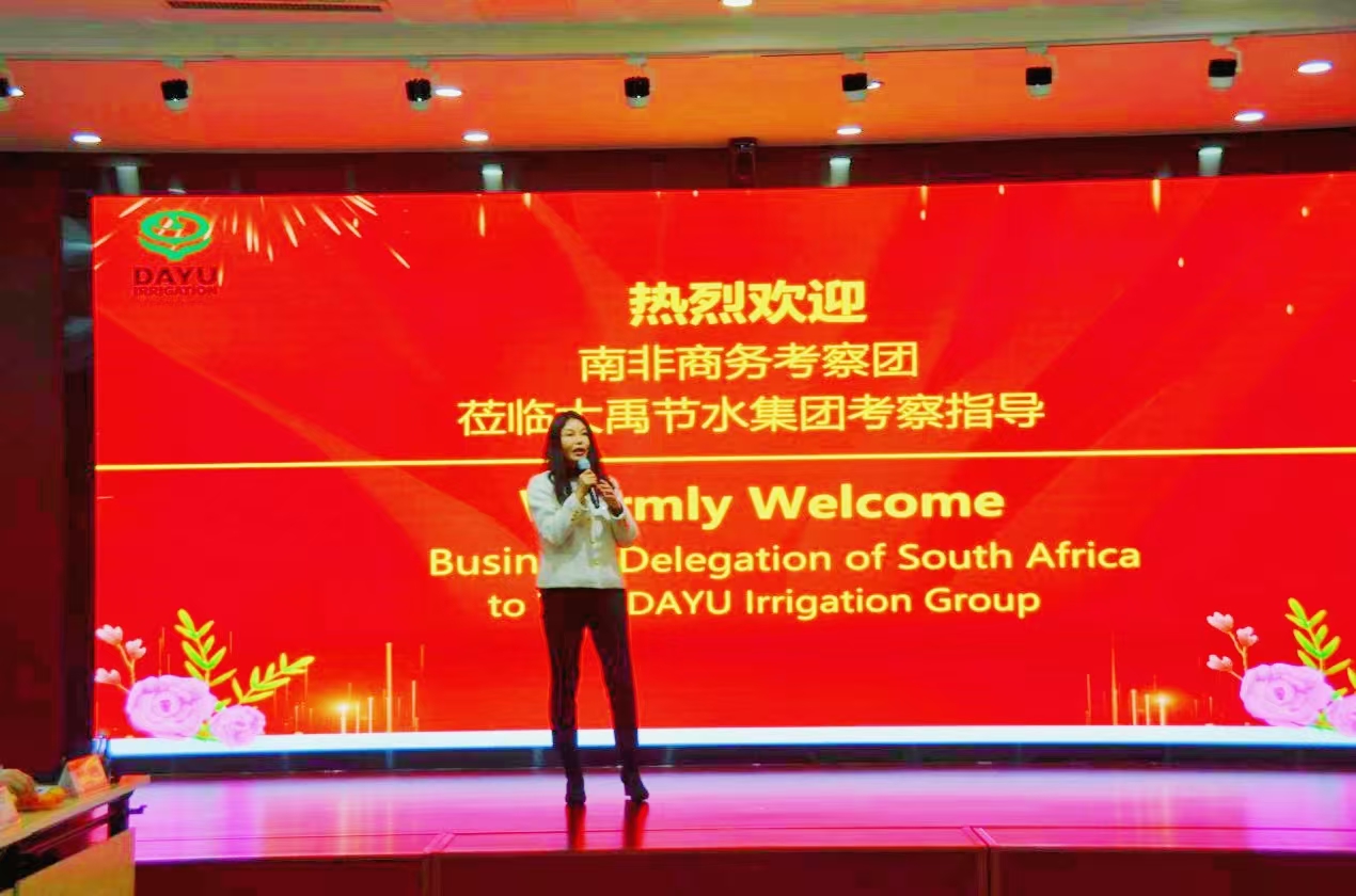 202510271761531977391341