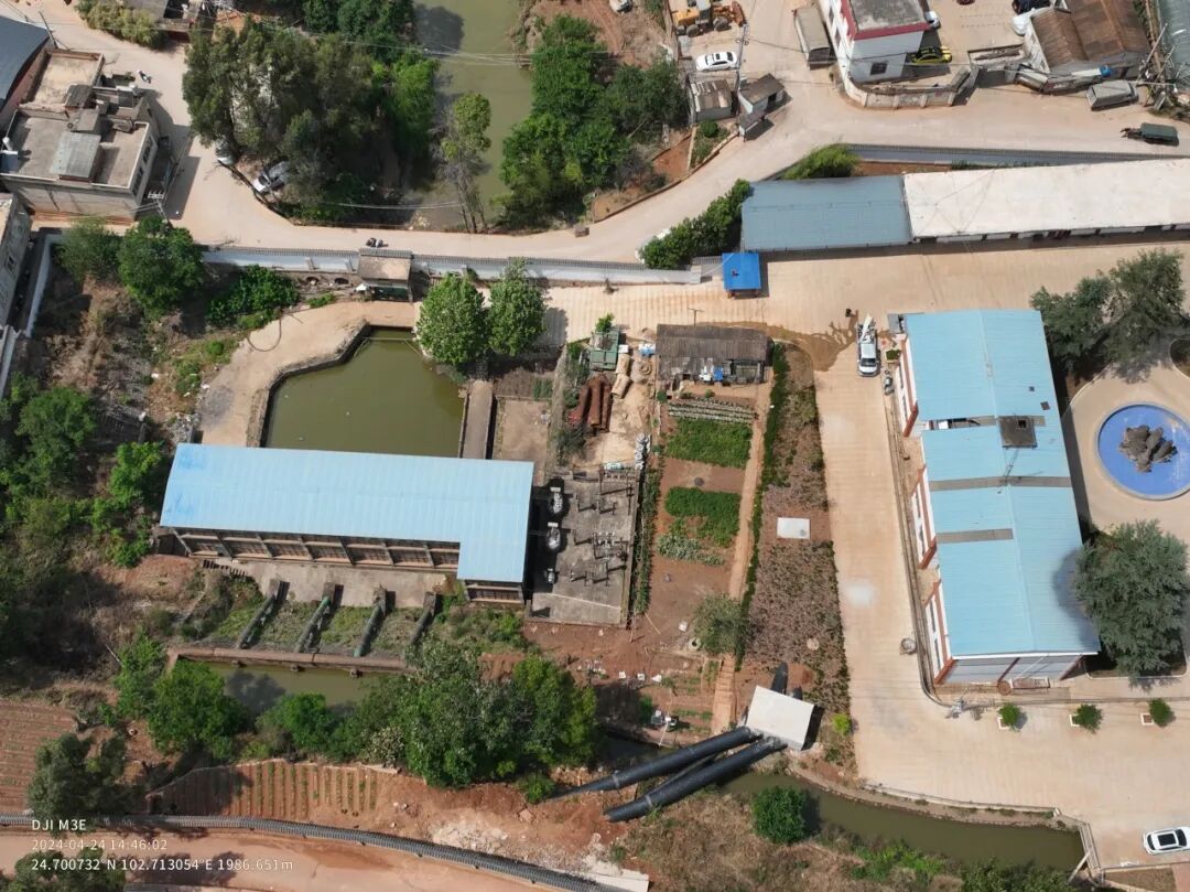 202602051770266485886400