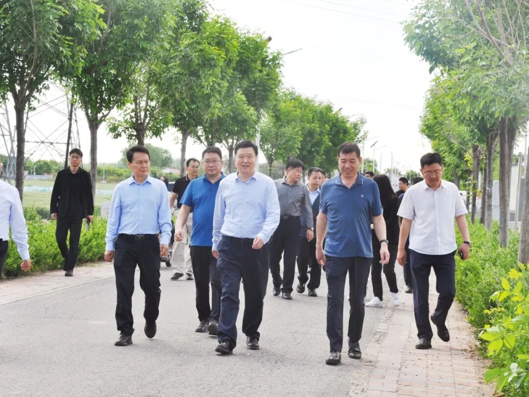 202602051770266639613272