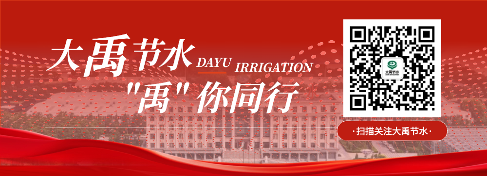 202602051770267956275335