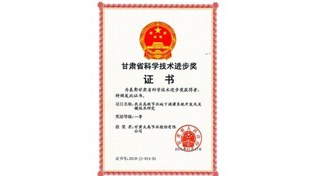 甘肃省科学技术进取一等奖