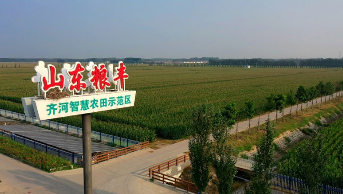 山东省齐河县深入农业水价综合鼎新推动现代化灌区建设试点项目