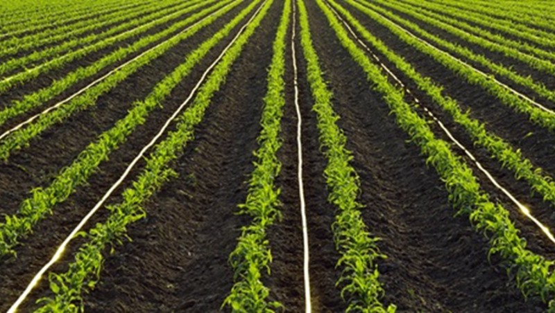 内蒙古科右前旗2023年“EPC+O”高尺度农田建设项目