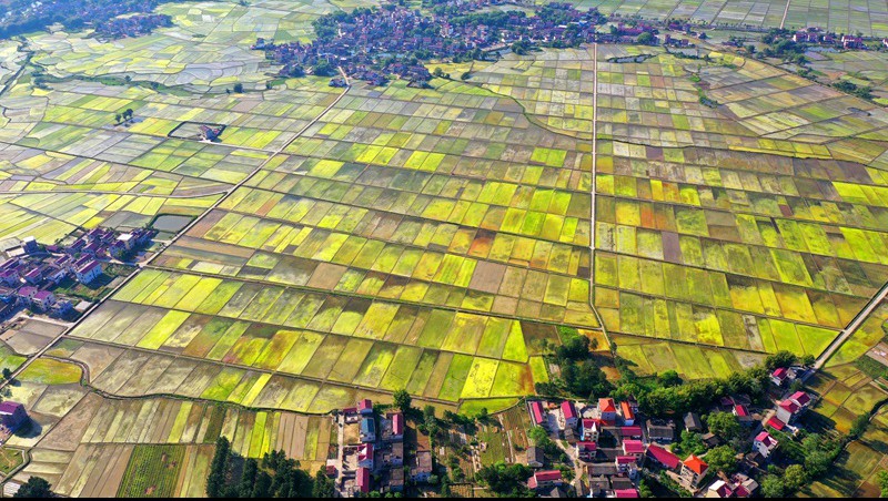 江西省南丰县2020年两全整合伙金推动高尺度农田建设项目