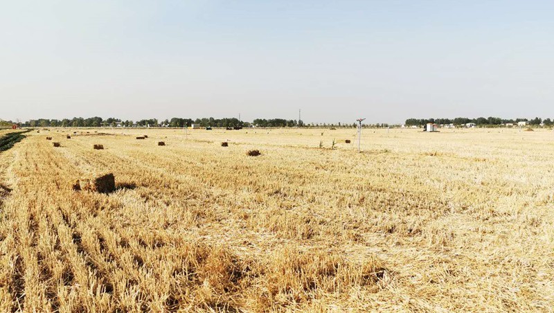 安徽省亳州市谯城区2021年高尺度农田建设EPC+O项目