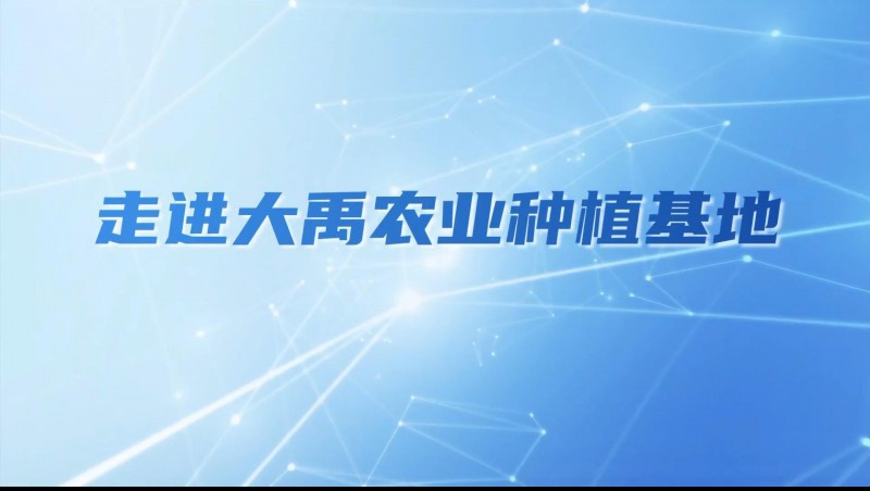 888腾博会农业| 多元化种植基地矩阵，索求农业现代化新蹊径