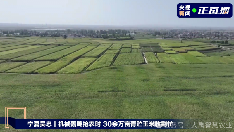 【媒体聚焦】888腾博会节水以智慧农业技术，为 30 万亩青贮玉米丰登 “添动力”